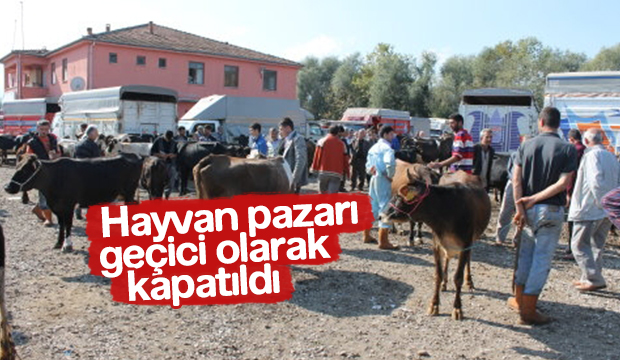 Hayvan Pazarı Geçici Olarak Kapatıldı