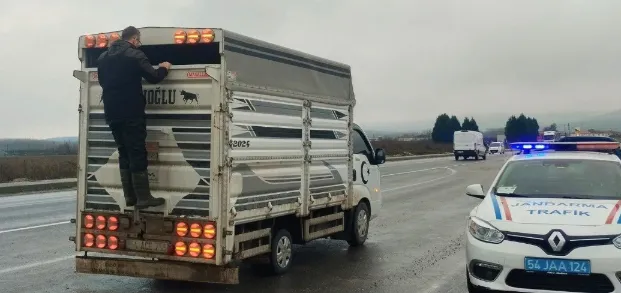 Hayvan sevkleri sıkı denetim altında