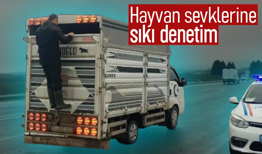 Hayvan sevkleri sıkı denetim altında