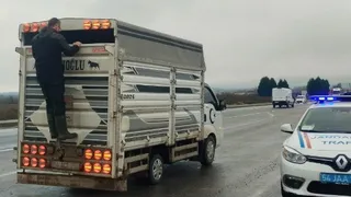 Hayvan sevkleri sıkı denetim altında