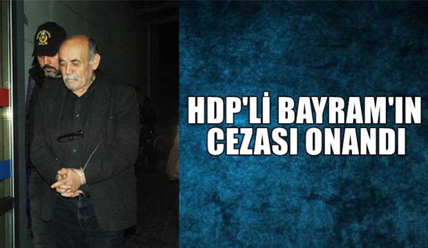 HDP'li eski İl Başkanının cezası onandı 