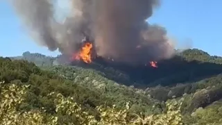 Hendek'te ki orman yangınıyla ilgili 2 kişi adli kontrolle serbest