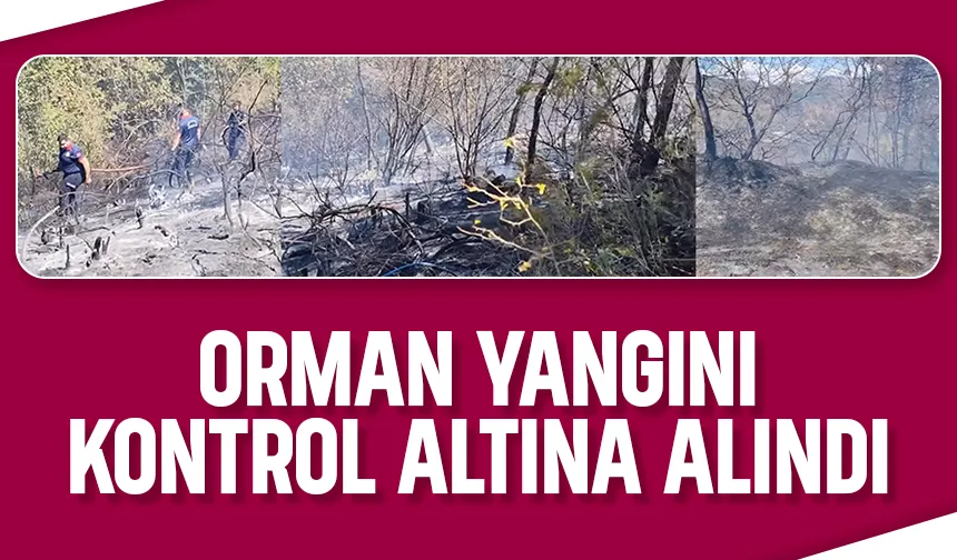 Hendek'te orman yangını söndürüldü