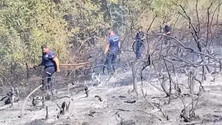 Hendek'te orman yangını söndürüldü