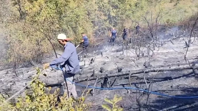 Hendek'te orman yangını söndürüldü