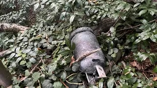 Hendek'teki yangının çıkış nedeni belli oldu