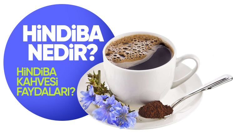 Hindiba Nedir? Hindiba Kahvesi Faydaları?