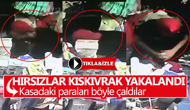 Hırsızlar kıskıvrak yakalandı