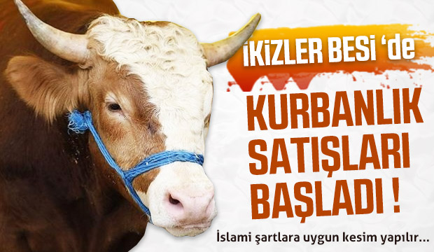 Hisse ve Kurbanlık satışları başladı