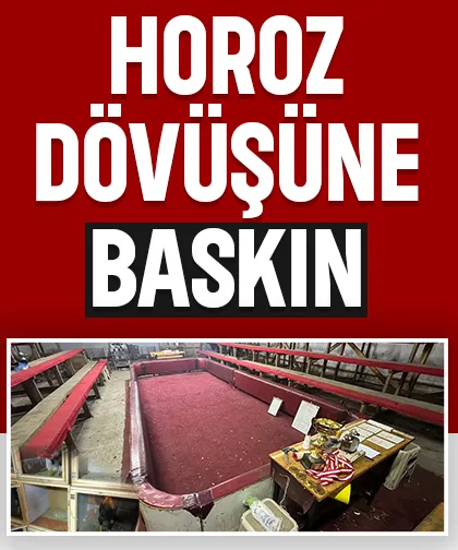 Horoz dövüştürenler suçüstü yakalandı