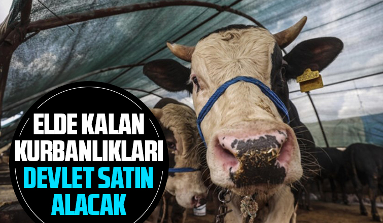 İbrahim Yumaklı açıkladı! Et ve Süt Kurumu satılmayan kurbanlıkları alacak