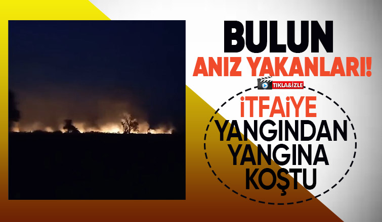 İki mahallede anız yangınları kontrolden çıktı
