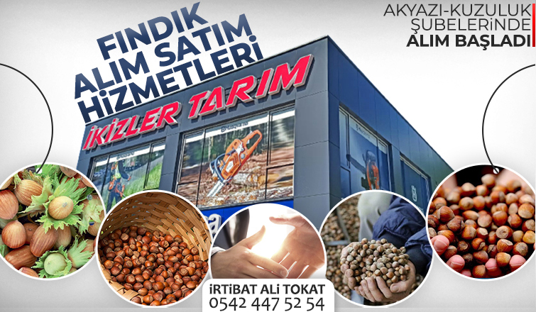 İkizler Tarım Fındık Alım Satımına başladı