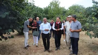 İl Tarım Müdürü Asım Baş, sahaya indi; Akyazı'da bahçelerde incelem yaptı