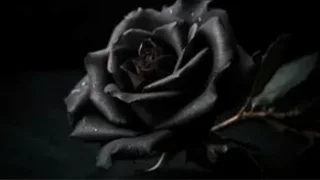 İlçemizdeki Cenazeler