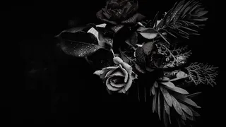 ilçemizdeki cenazeler