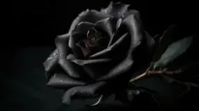 İlçemizdeki cenazeler