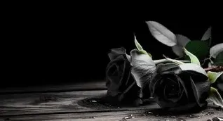 ilçemizdeki Cenazeler