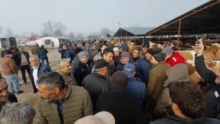 İlginç kurban pazarlığı kamerada