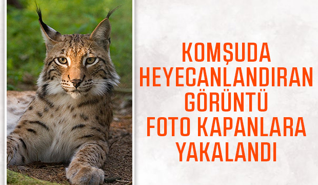 İlk kez görüntülendi