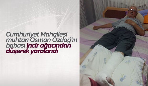 İNCİR AĞACINDAN DÜŞEREK YARALANDI