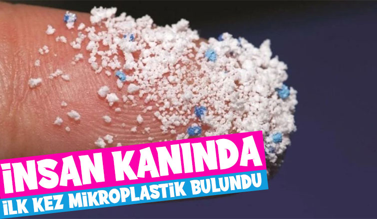 İnsan kanında ilk kez mikroplastik bulundu