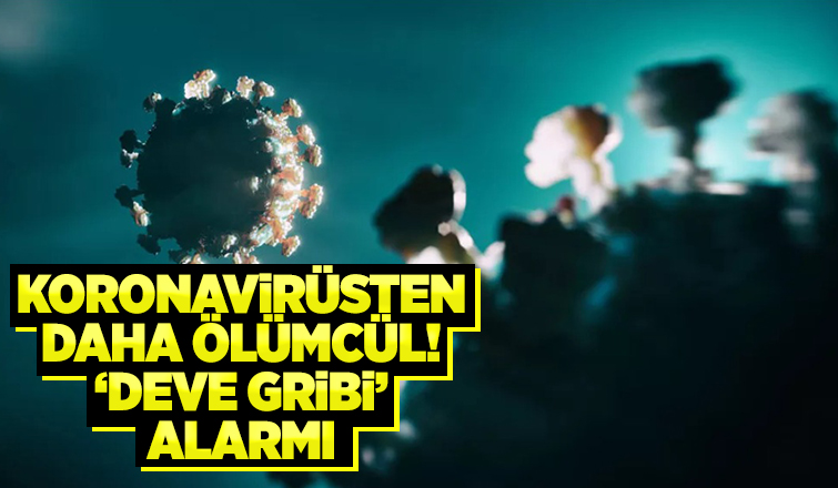 İnsandan insana bulaşıyor, Dünya Kupası'ndan yayılabilir