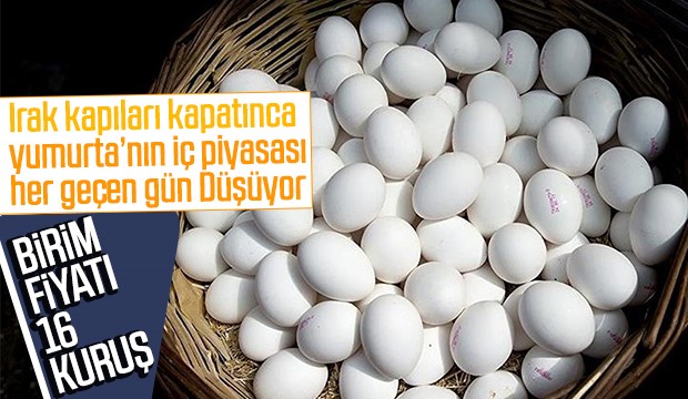 Iraka yumurta satışı durunca iç piyasada fiyatlar düştü
