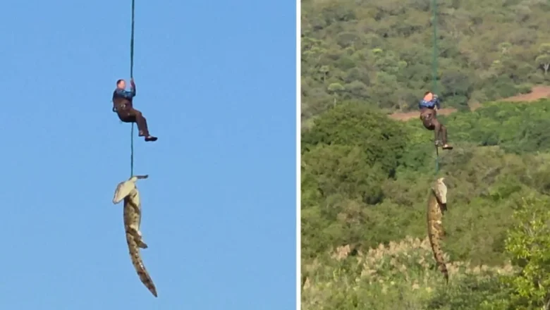İş insanını yiyen timsah yakalandı; Midesinden çıkanlar şok etti!