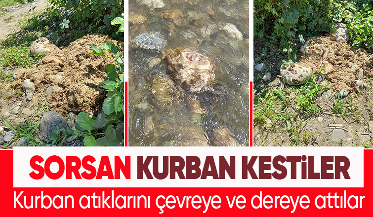 İşkembe ve sakatatları çevreye attılar