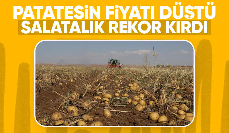 İşte üretici ve market arasındaki ürünlerde fiyat farkı