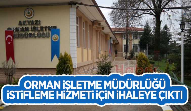İstifleme hizmeti için ihaleye çıktı
