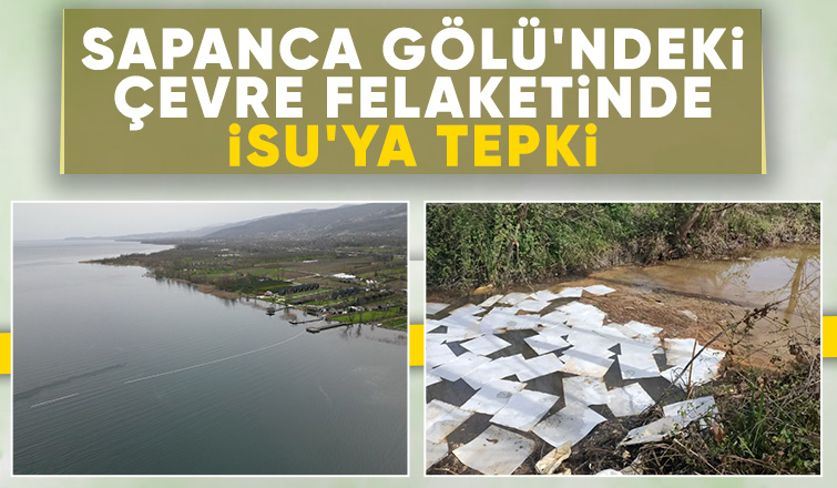 İSU Sapanca Gölü'ndeki çevre felaketini seyrediyor