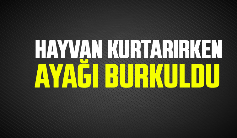 İtfaiye eri hayvan kurtarırken ayağını burktu