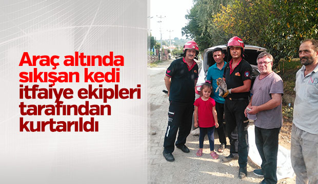  İtfaiye Erleri Kedi Kurtarma Görevinde 