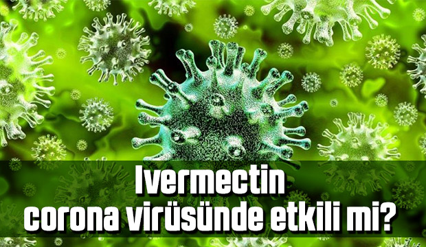 Ivermectin ilacı nedir İvermektin nedir 