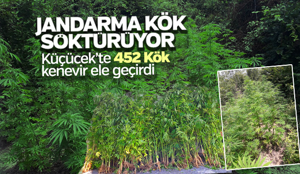 JANDARMA KÖK SÖKTÜRÜYOR