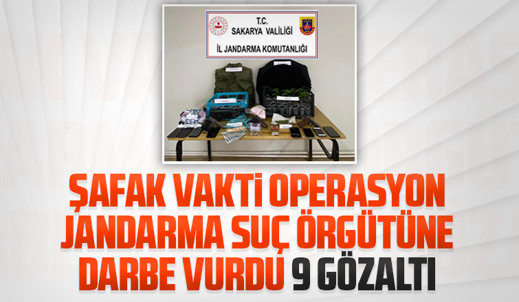 Jandarma suç örgütüne darbe vurdu 9 gözaltı