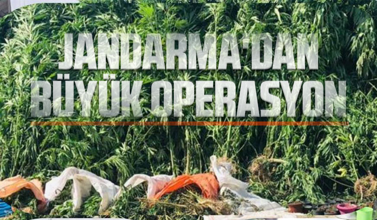 Jandarmadan büyük operasyon