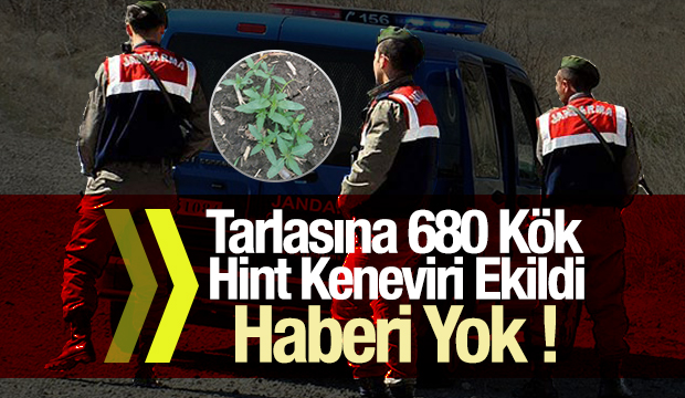 Jandarmadan Esrar Operasyonu