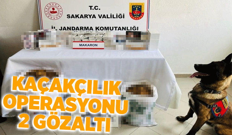 Jandarmadan kaçakçılık operasyonu: 2 gözaltı