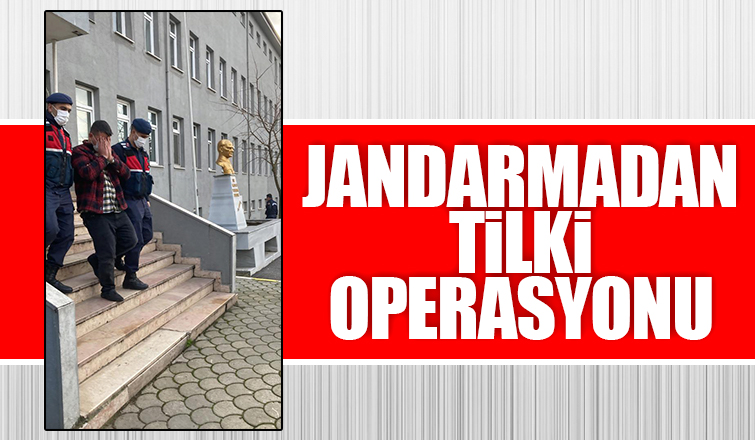 Jandarmadan tilki operasyonu