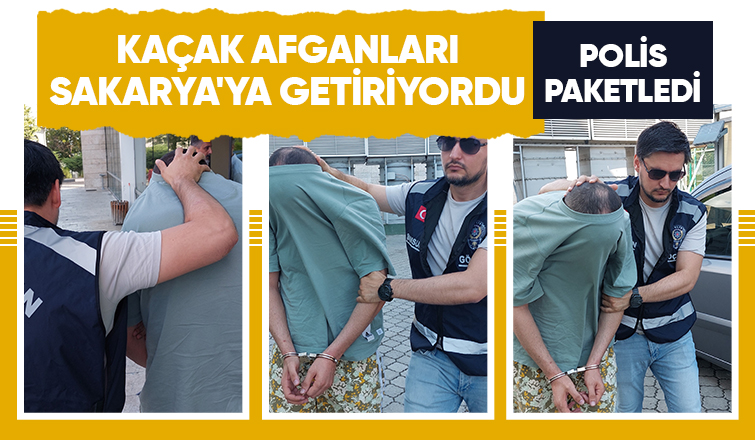 Kaçak Afganları Sakarya'ya getirirken yakalandı