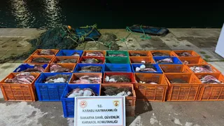 Kaçak avlanan yüzlerce Kalkan balığına el kondu