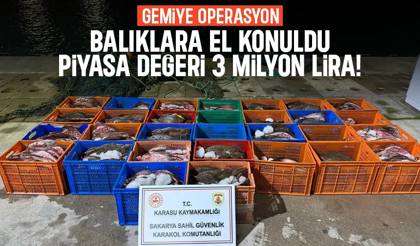 Kaçak avlanan yüzlerce Kalkan balığına el kondu