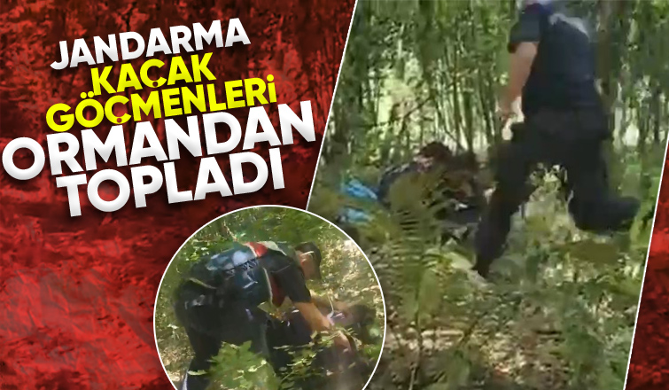 Kaçak göçmenler ormanda yakalandı