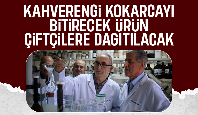 Kahverengi kokarca belasından kurtaracak ürün çiftçiye dağıtılıyor