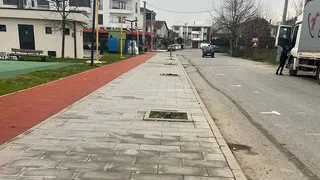 Kaldırımdaki ağaçların kesilmesi tepki çekti