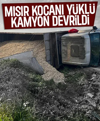 Kamyon devrildi, sürücü yaralı