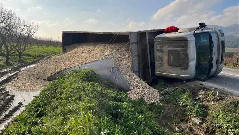 Kamyon devrildi, sürücü yaralı